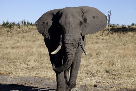 Reisen Simbabwe ist ein Insidertipp