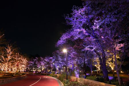 Reisen Illumination Japan