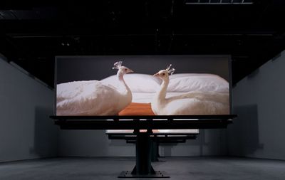 Bild Black Mirror Doug Aitken