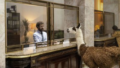 Die Hauptfiguren im Lama Drama ein Bankangestellter und ein Andenkamel