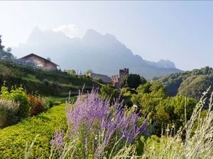 Der Kraeutergarten des Pflegerhofs, dessen Qualitaetsprodukte das Roter Hahn Siegel tragen, liegt zu Fuessen des Schlernmassivs