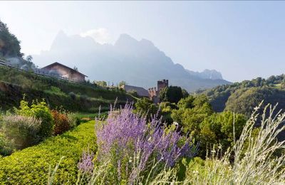 Der Kraeutergarten des Pflegerhofs, dessen Qualitaetsprodukte das Roter Hahn Siegel tragen, liegt zu Fuessen des Schlernmassivs