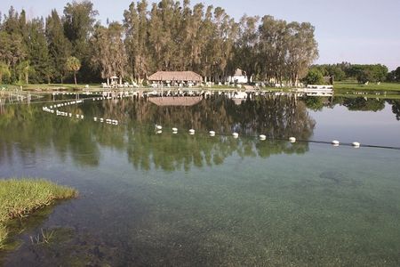 Großer Jungbrunnen im kleinen Staedtchen: Eintauchen in Warm Mineral Springs