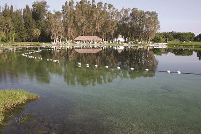 Großer Jungbrunnen im kleinen Staedtchen: Eintauchen in Warm Mineral Springs