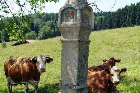 Reisen Alpenregion Tegernsee Schliersee Marterln