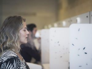 Thermalwasser-Inhalationen wirken sich positiv auf Atemwegserkrankungen aus – das beweisen die medizinischen Forschungen der Therme Meran