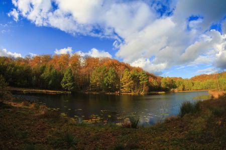 Herbst auf Usedom