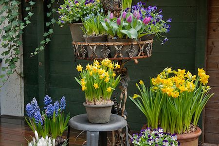 Stil Blumen Osterdekoration Mix von Blumentoepfen