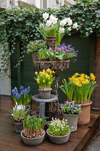 Stil Blumen Osterdekoration Mix von Blumentoepfen