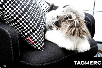Stil Kissen Geometrische Formen