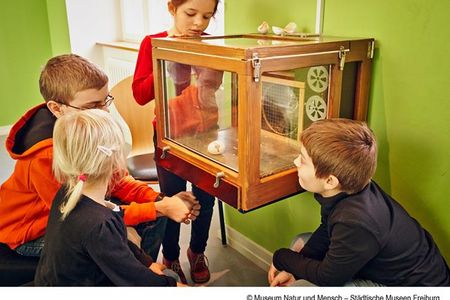 ausstellung freiburg