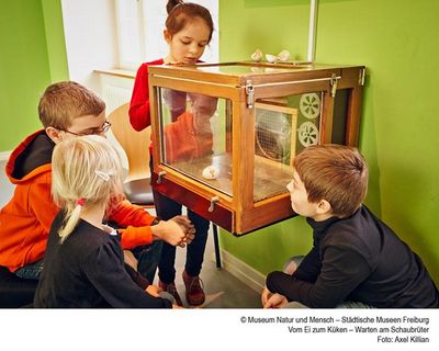 ausstellung freiburg