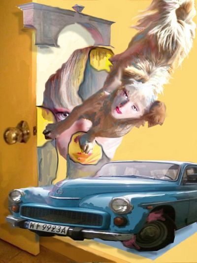 fliegender Mops