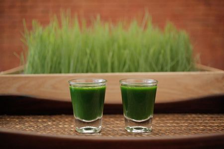 Gruene Smoothies aus Weizengras