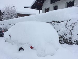 Der Winter ist in weniger als zwei Monaten wieder vorbei, und am 20. Maerz ist Fruehlingsanfang Der Winter ist in weniger als zwei Monaten wieder vorbei, und am 20. Maerz ist Fruehlingsanfang