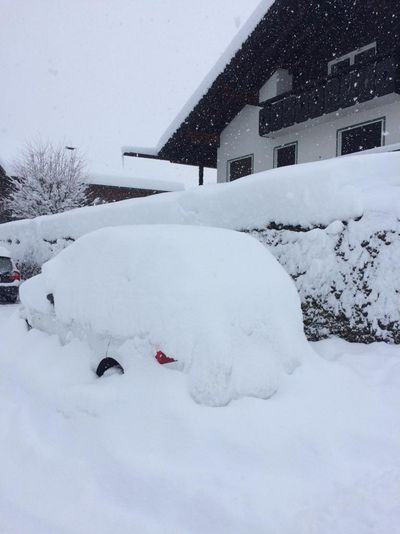 Der Winter ist in weniger als zwei Monaten wieder vorbei, und am 20. Maerz ist Fruehlingsanfang