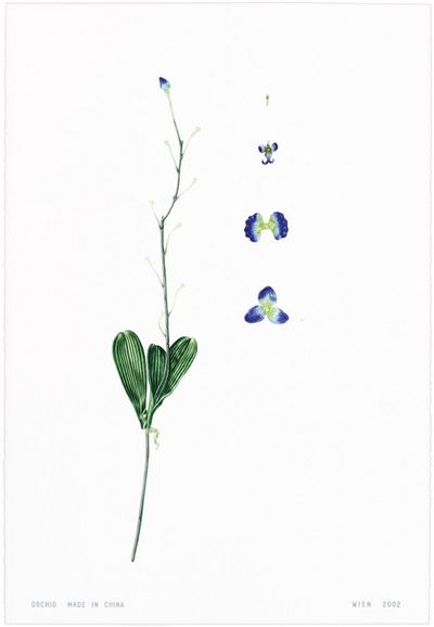 natur ausstellung saarbruecken