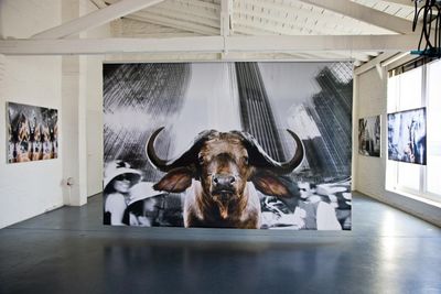 Urban Anmials Ausstellung