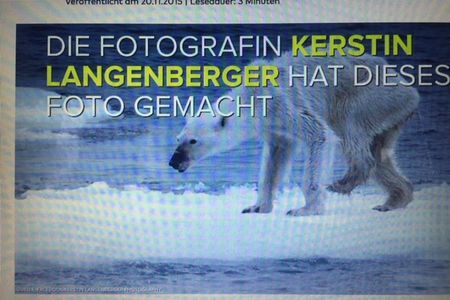Die Fotografin Kerstin Langenberger ist auf Fotoreise durch die Arktis Dabei faellt ihr auf, dass viele Eisbaeren ausgemergelt und hungrig umherziehen. Dieses Bild ging um die Welt