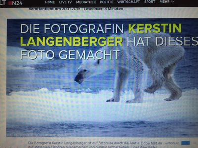 Die Fotografin Kerstin Langenberger ist auf Fotoreise durch die Arktis Dabei faellt ihr auf, dass viele Eisbaeren ausgemergelt und hungrig umherziehen. Dieses Bild ging um die Welt