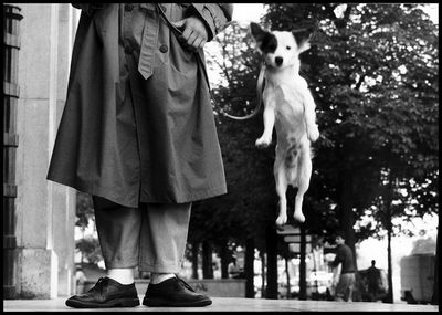 Elliott Erwitt retrospektive Elliott Erwitt retrospektive