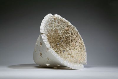 materialkonzepte ausstellung claudia biehne