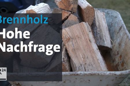 Krimnelle nutzen die Holznachfrage aus