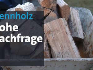 Krimnelle nutzen die Holznachfrage aus Krimnelle nutzen die Holznachfrage aus