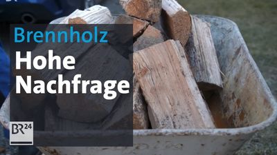 Krimnelle nutzen die Holznachfrage aus