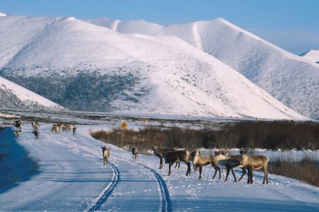 Reisen Eisstrasse Kanada