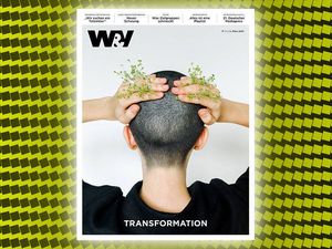 Es ist zum Harre raufen, es gibt keine W&V Abendpost mehr Es ist zum Harre raufen, es gibt keine W&V Abendpost mehr