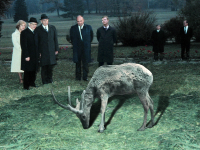 babanoava ausstellung bonn