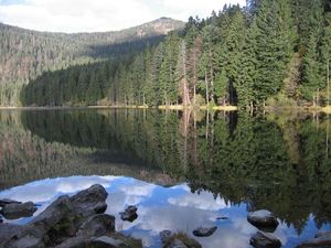 Die zweitaegige Arbertour startet beim 4-Sterne-Superior-Hotel Bodenmaiser Hof und fuehrt unter anderem am Großen Arbersee vorbei Die zweitaegige Arbertour startet beim 4-Sterne-Superior-Hotel Bodenmaiser Hof und fuehrt unter anderem am Großen Arbersee vorbei