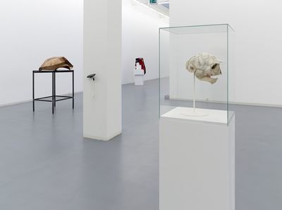 ausstellung bonn