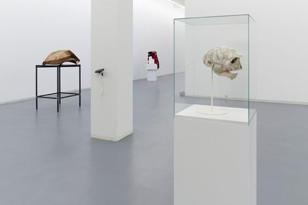 ausstellung bonn