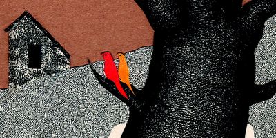 Cover caiman und drache