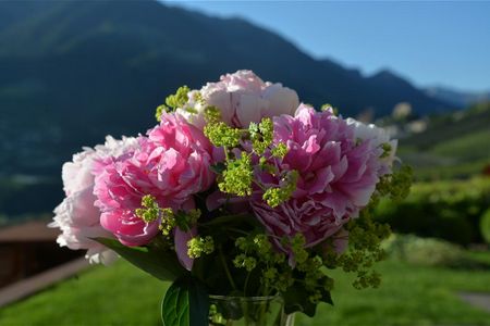 Blumengrüsse aus Südtirol