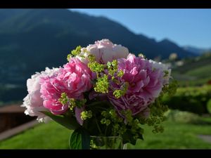 Blumengrüsse aus Südtirol Blumengrüsse aus Südtirol
