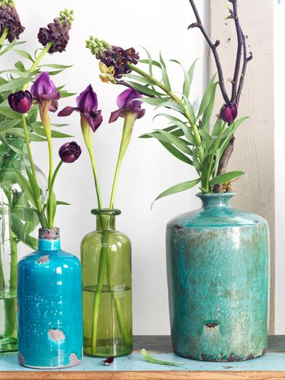 Stil Iris Hyazinthe Stil Iris Hyazinthe
