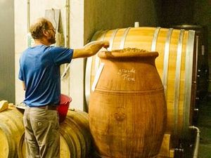 Thierry Michon wurde zum Vorreiter in der Biodynamie im Weinbau Thierry Michon wurde zum Vorreiter in der Biodynamie im Weinbau