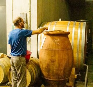 Thierry Michon wurde zum Vorreiter in der Biodynamie im Weinbau