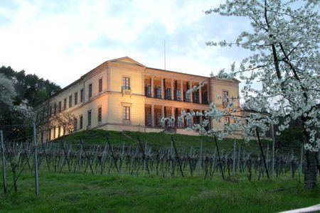 Beim Terrassen-Picknick auf Schloss Villa Ludwigshöhe in Edenkoben