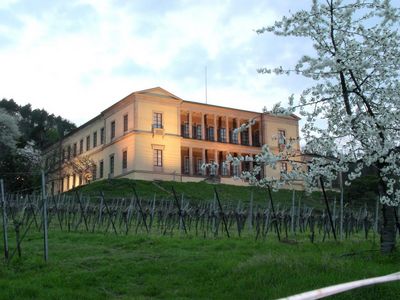 Beim Terrassen-Picknick auf Schloss Villa Ludwigshöhe in Edenkoben