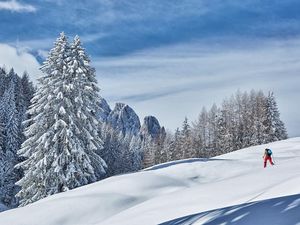 Die Skitour auf den Auerling in den Gailtaler Alpen ist die einfachste Route in den Lienzer Dolomiten. Landschaftlich und skigeländetechnisch eine sehr empfehlenswerte Tour in Osttirol/Österreich Die Skitour auf den Auerling in den Gailtaler Alpen ist die einfachste Route in den Lienzer Dolomiten. Landschaftlich und skigeländetechnisch eine sehr empfehlenswerte Tour in Osttirol/Österreich