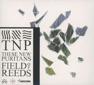 Die Songs auf Field Of Reeds sind intensiver, melodischer und mit einer persoenlicheren Note, als alle anderen Werke der Band zuvor.