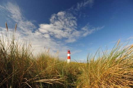 Reisen Fahrradparadies Nordsee-Schleswig Holstein Radfahrer