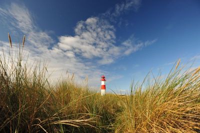 Reisen Fahrradparadies Nordsee-Schleswig Holstein Radfahrer