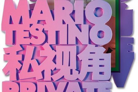 Buch Mario Testino Private View