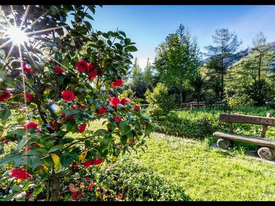 Im Kamelienpark am Lago Maggiore wachsen nahezu tausend Sorten der aus Ostasien stammenden Kamelie, im Tessin auch als Frühlings-Botschafterin bekannt