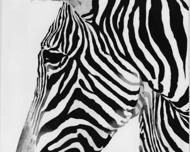 Ahmed Fouda mit seiner ausstellung zebra in der kasu gallery